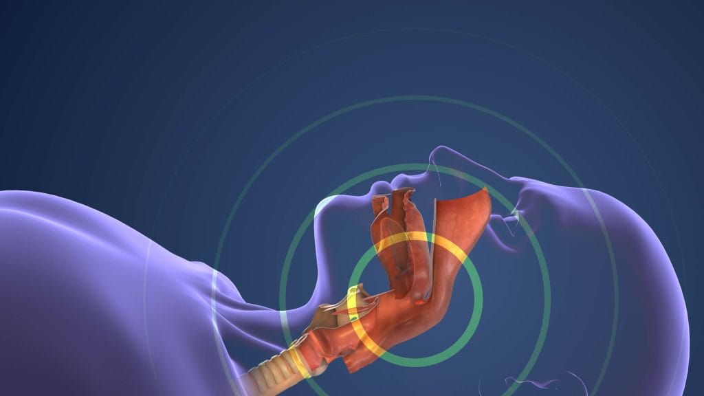 Sleep Apnea, Jaw Pain, and Snoring: Dental Solutions for Better Rest